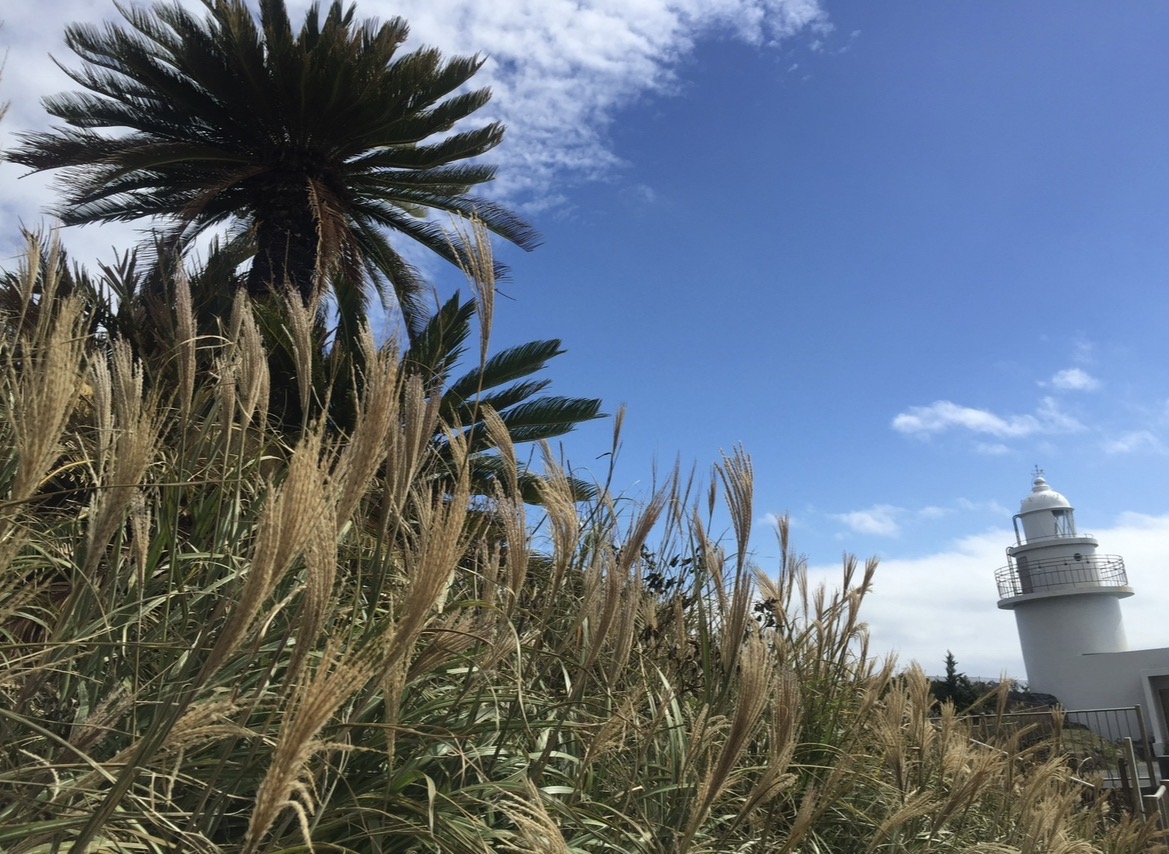 Izu: Tokyo's Best Kept Escape