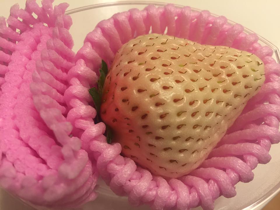 Japan's Extraordinary Fruit Culture